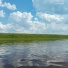 егор арестов
