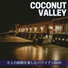 Coconut Valley