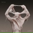 Lotrax
