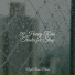 Relajación, Ambient Music Therpy, Lluvia PQ