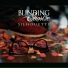 Blinding Sunrise