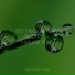 Mother Nature FX, Spa, Rain Sounds XLE Library