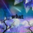 qwvnt