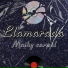 Maiky Carnal