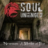 Soul Unhinged