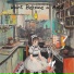 Stefanino Project