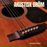 Akustisk Gitarr