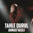 Ahmad Vasili