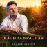 Андрей Шпехт
