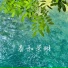 傅梦彤