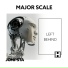 Major Scale