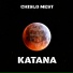 CHISLO MEST