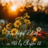 Essential Sleep Music, Alexander Grosskord