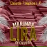 Marimba Lira De Chiapas