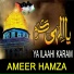 Ameer Hamza