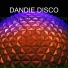 DANDIE DISCO