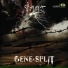 Gene Split
