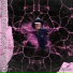 wpwwex
