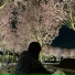 Basco