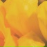 Magdalini, Banda Magda