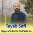 Tayab Safi