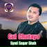 Syed Sagar Shah