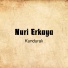 Nuri Erkaya