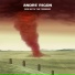 André Rigon