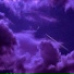OURGRND