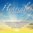 Ray Choi