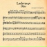 Ladynsax