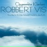 Robbert Vis