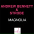 Andrew Bennett feat. Strobe