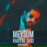 Meysum