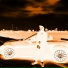 f1xx1t