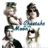 Cheetahs on the Moon
