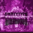 DXRTYTYPE, NikiNovok