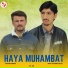 Sp Gb feat. Nisar Ansari, Arif Hussain Alvii