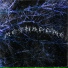 METHADONE