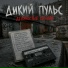 Дикий пульс