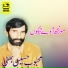 Mehboob Hussain Bhatti