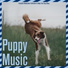 Relaxmydog, Dog Music Dreams