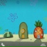Lofi Fruits Music, Fets