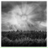 Glare Of The Sun