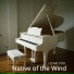 Native of the Wind