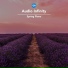 Audio Infinity