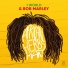 1 World, Bob Marley