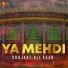 Shujaat Ali Asad