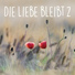Harmonieklänge