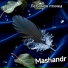 Mashandr